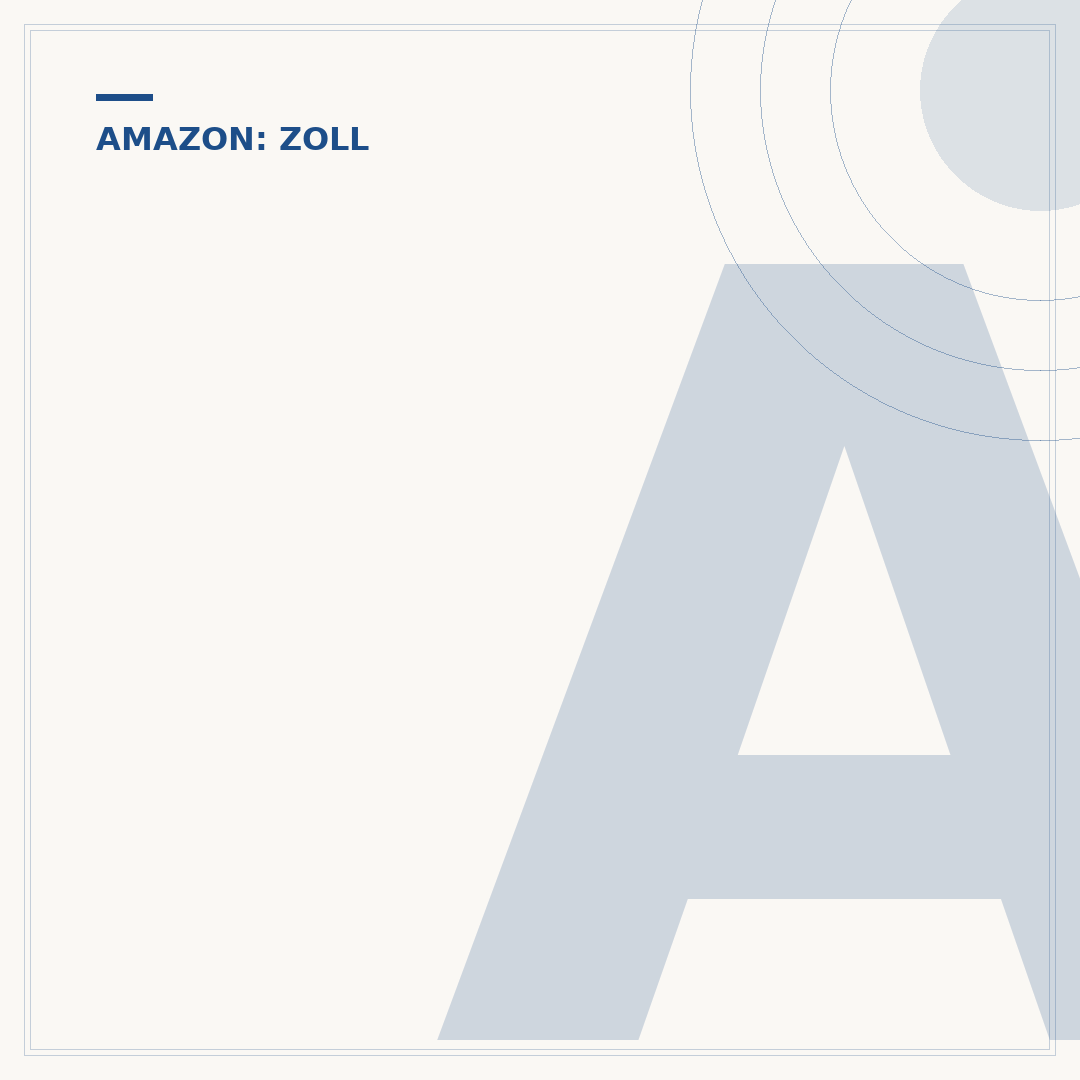 Amazon Haul: Zoll und Gebühren für Ihre Bestellung