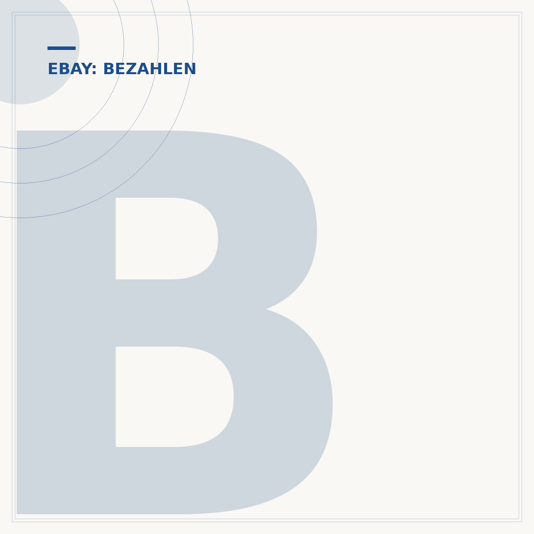 Bezahlung bei eBay