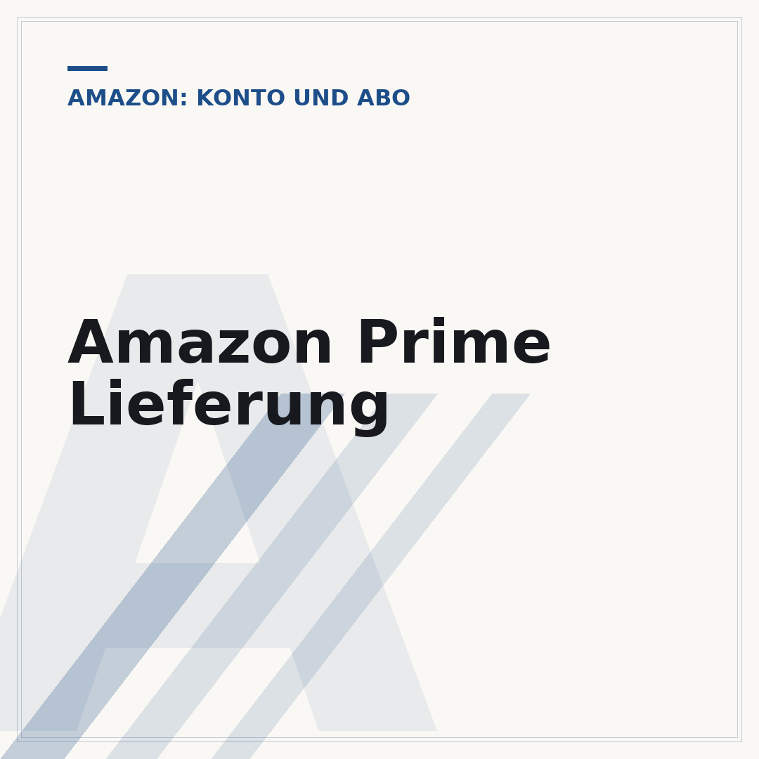Amazon Prime Lieferung